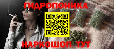 МДПВ Новодвинск