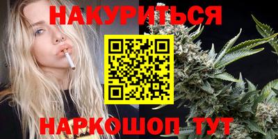 МДПВ Новодвинск