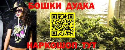 индика Новокубанск