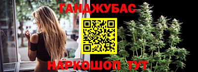 МДПВ Новодвинск