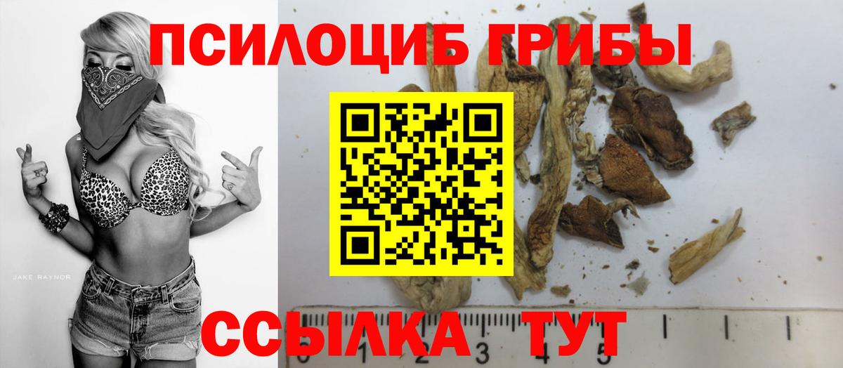 Стрежевой  Галлюциногенные грибы Cubensis  Галлюциногенные грибы Psilocybine cubensis  закладки  Вход с VPN 